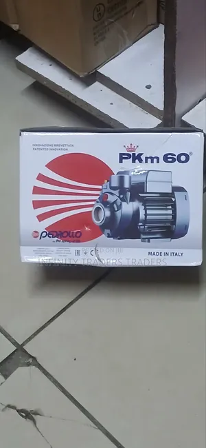 Pedrollo Water Pump