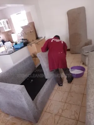 Fast Dry Carpet Cleaning and Sofa