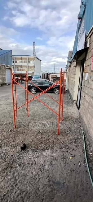 Scaffolding Access Ladder