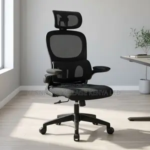 Ergonomic Chair.
