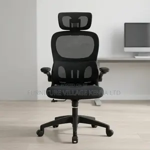 Ergonomic Chair.