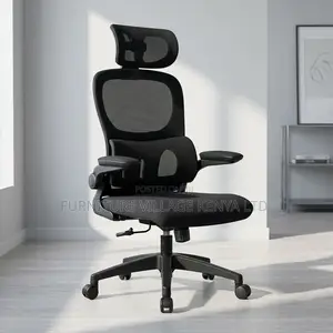 Ergonomic Chair.