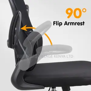 Ergonomic Chair.