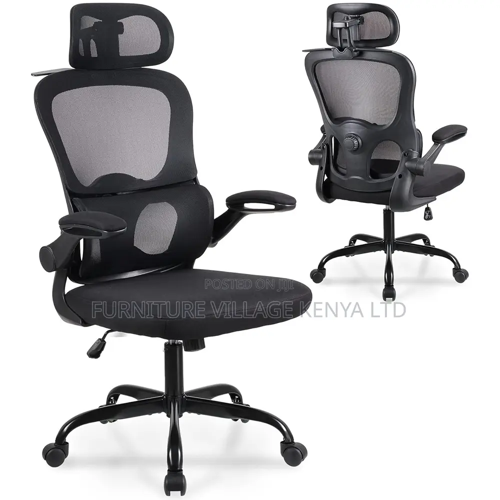 Ergonomic Chair.