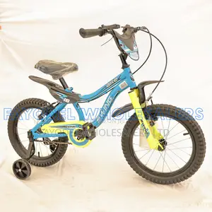 Swing 16-Inch Bicycle for Kids – Excellent Condition