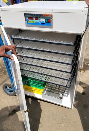 1056 Eggs Incubator Ac Dc Automatic Incubator
