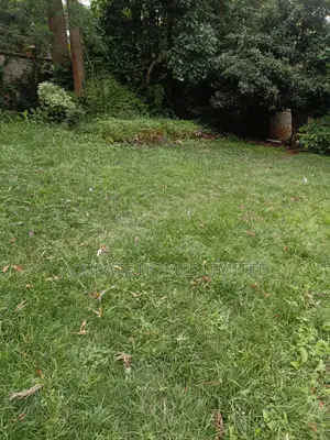 Thika Green Plots For Sale