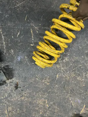 Heavy Duty Coil Springs