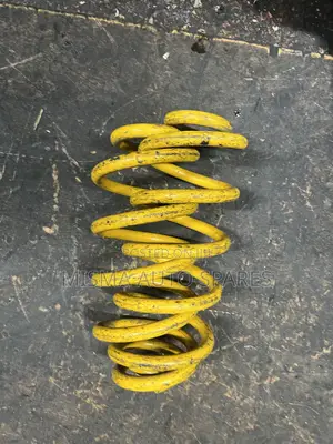 Heavy Duty Coil Springs