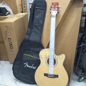 Brand New Fender Semi Acoustic Guitar + Guitar Bag