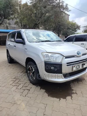 Toyota Probox 2019 Silver