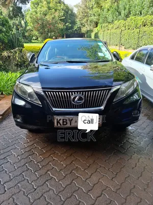 Lexus RX 2009 Black