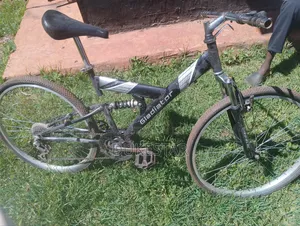 Gladiator Bike