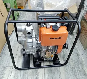 Pacwell Diesel Water Pump 3