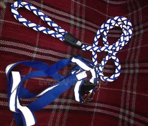 Nylon Reflective Dog Harness and Leash Set