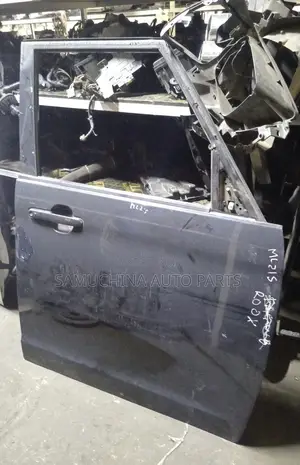 Door Nissan Roox
