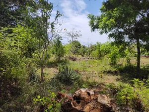 Rare 1/4 Acre Serviced Plot Near Diani Beach