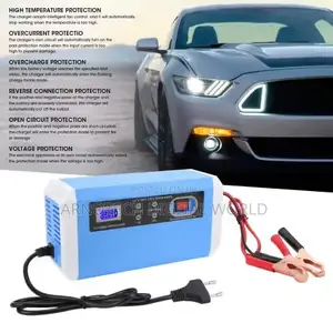 12v- 24v Fully Automatic Smart Battery Maintenance Charger
