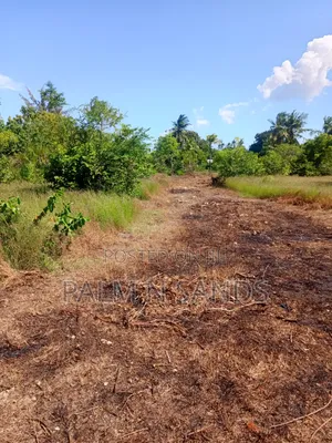 1 Acre Land in Galu Diani With Plenty of Trees