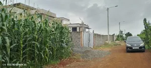 Residential Plot for Sale at Ruiru Mugutha