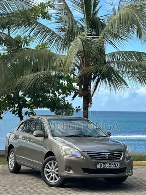 Toyota Premio 2011 Gray