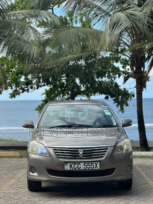 Toyota Premio 2011 Gray