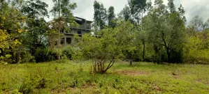 One Acre on Sale at Kirinyaga -Kimbimbi