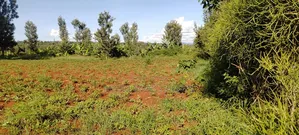 Half an Acre on Sale at Kirinyaga