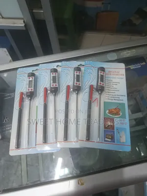 Digital Food Thermometer