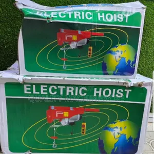 Durable Electric Hoist 1000kg