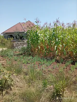 16 Plots,50*100 for Sale