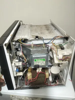 Microwave Magnetron Replacement