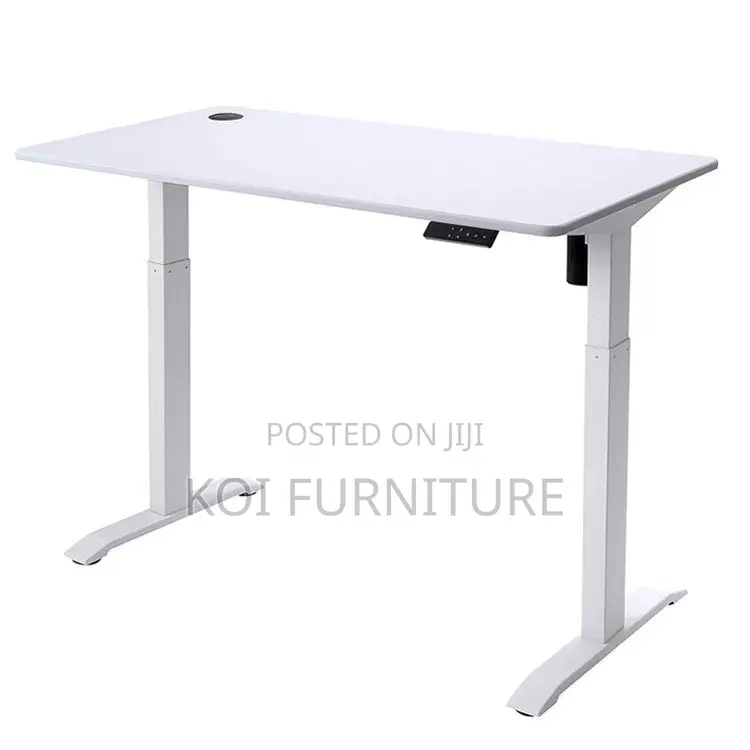 Office Desk; Ergonomic Adjustable Smart Desk