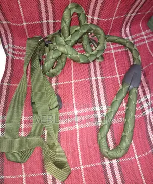 Pet Dog Harness Leash and Harness