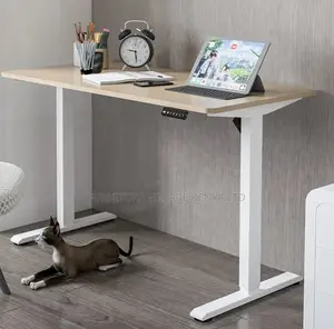 Automatic Motorized Standing Desk