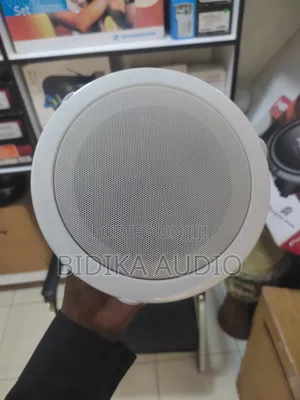 Quality Ceiling Speaker