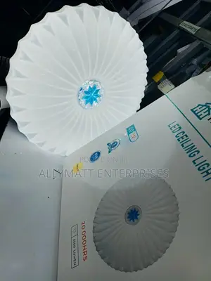 Full Moon Ceiling Light