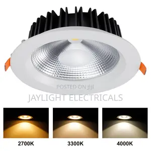 Downlight Cob 30w Spotlight Light Recessed Led Downlight