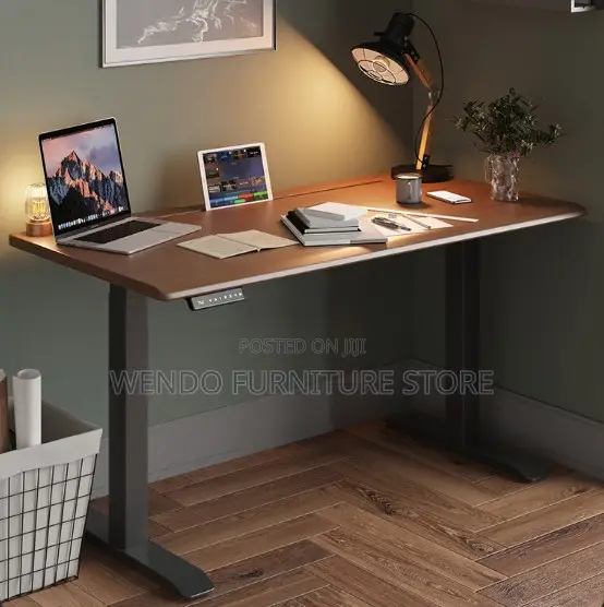 Office Desk; Ergonomic Office Studios Gaming Adjustable Desk