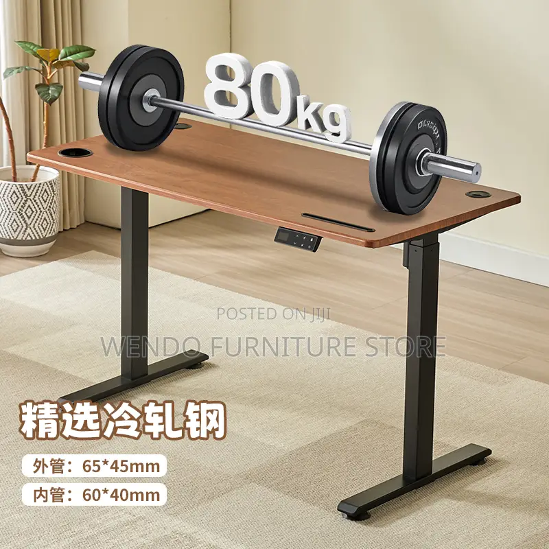 Office Desk; Ergonomic Office Studios Gaming Adjustable Desk