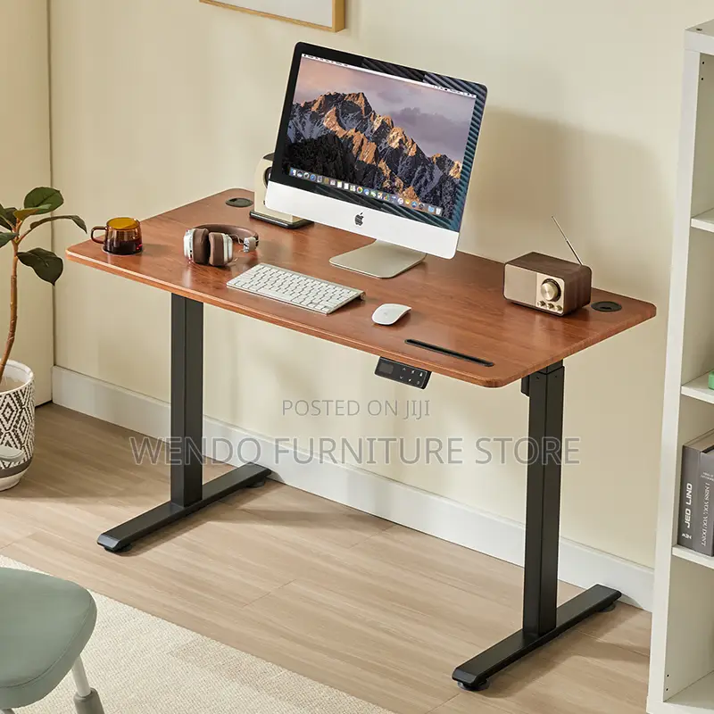 Office Desk; Ergonomic Office Studios Gaming Adjustable Desk