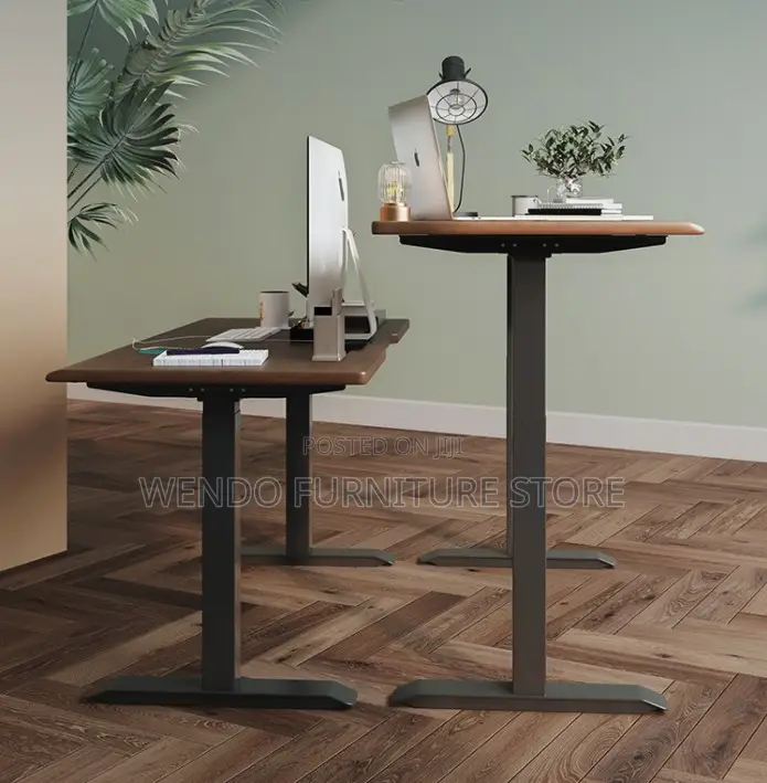 Office Desk; Ergonomic Office Studios Gaming Adjustable Desk