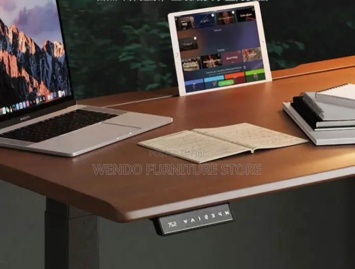 Office Desk; Ergonomic Office Studios Gaming Adjustable Desk
