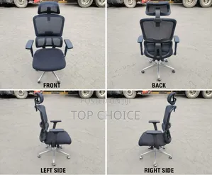 Ergonomic Office Chairs