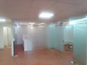 Frameless Frosted Glass Office Partition With Pivot Door