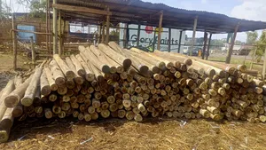Fencing Posts #Fencing Services#
