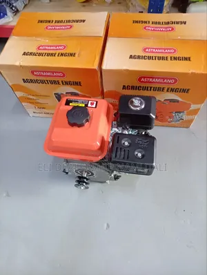Astramilano Am200 7.5hp Gasoline Engine Heavy Duty Agricultural Motor