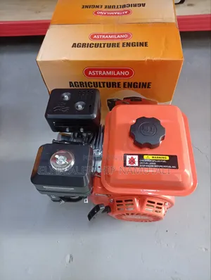 Astramilano 7.5hp Petrol Engine Am200 for Farm Equipment