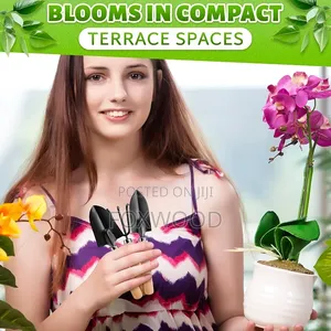 Mini Indoor Gardening Tools 3pcs