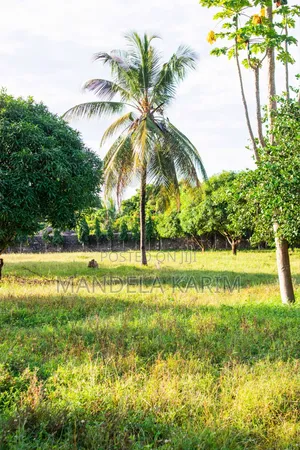 2 Acres|Perimeter Wall|Gazebo|Dsq|Orchard|Bofa Kilifi for Sale